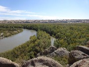 DSC08931.JPG