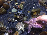 IMG-20191030-WA0020.jpg