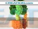 The ATP Synthase Enzyme