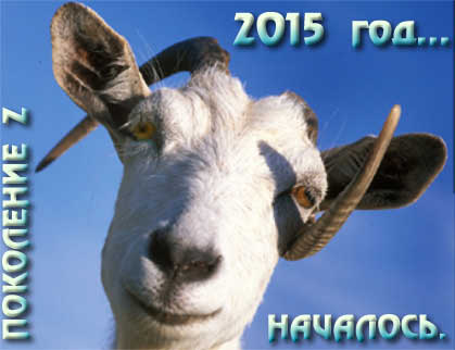 2015 ��� - ������ ������ �������