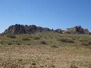 DSC08886.JPG