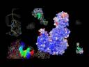 Glycolysis.m4v
